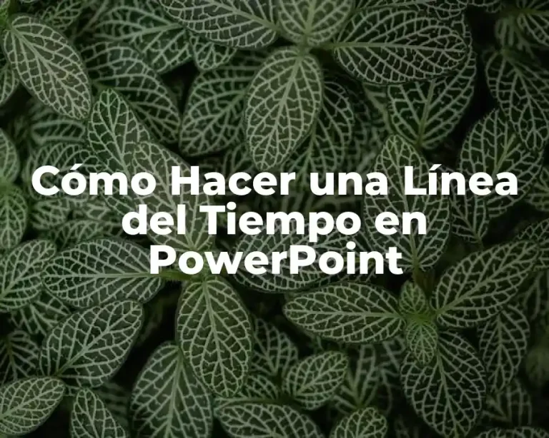 Cómo Hacer una Línea del Tiempo en PowerPoint