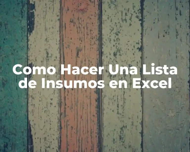 Como Hacer Una Lista de Insumos en Excel
