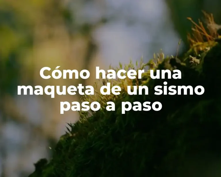 Cómo hacer una maqueta de un sismo paso a paso