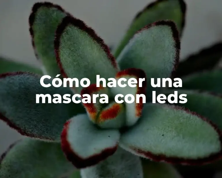 Cómo hacer una mascara con leds
