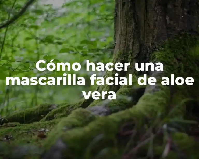 Cómo hacer una mascarilla facial de aloe vera