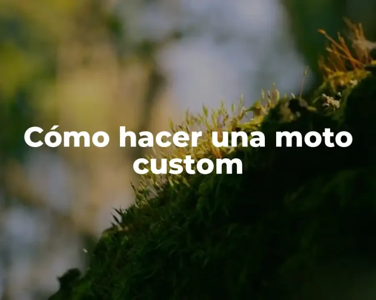 Cómo hacer una moto custom