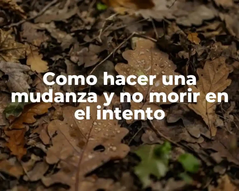 Como hacer una mudanza y no morir en el intento