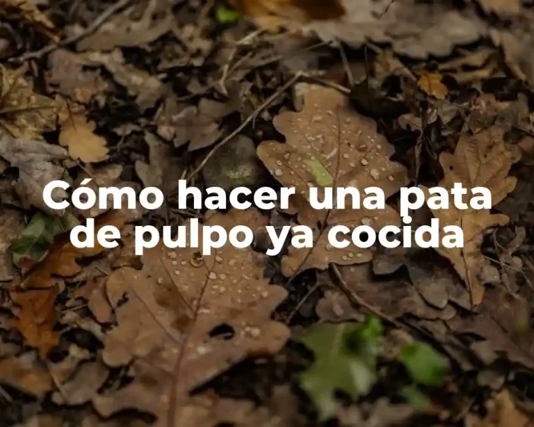 Cómo hacer una pata de pulpo ya cocida