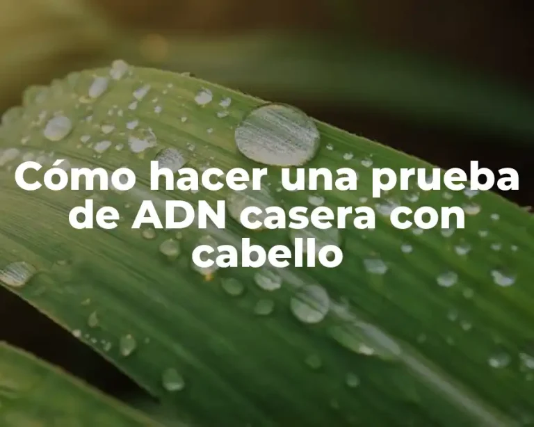 Cómo hacer una prueba de ADN casera con cabello