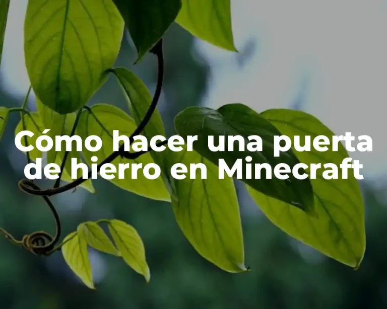 Cómo hacer una puerta de hierro en Minecraft