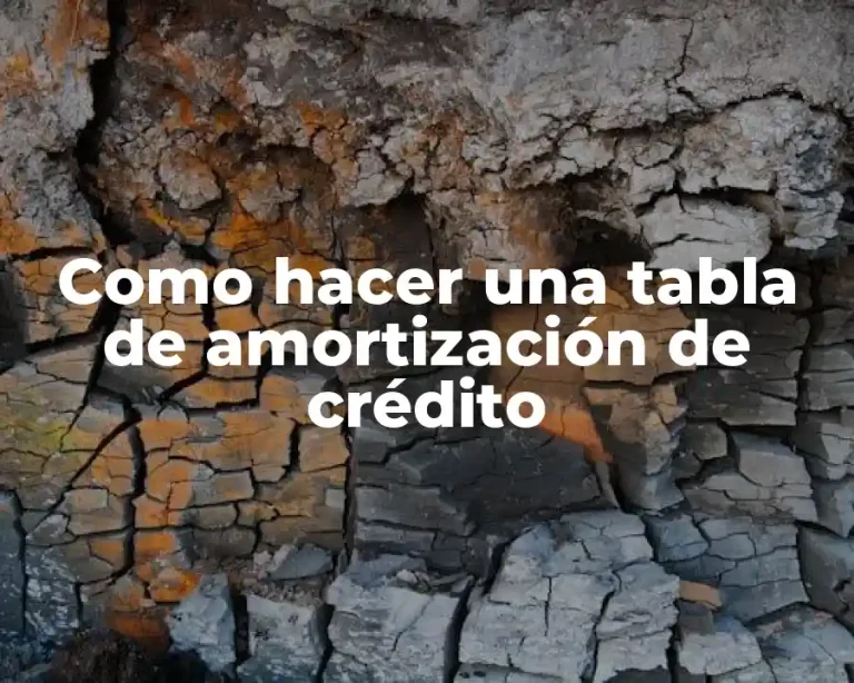 Como hacer una tabla de amortización de crédito