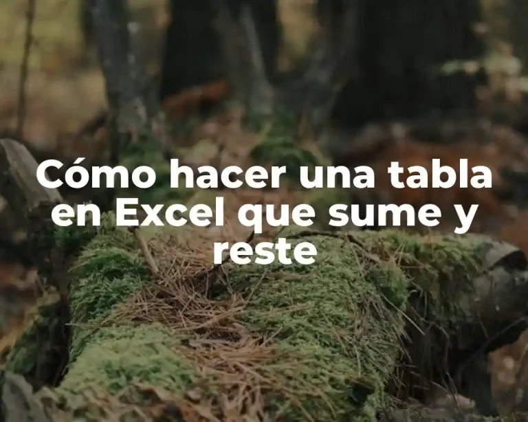 Cómo hacer una tabla en Excel que sume y reste
