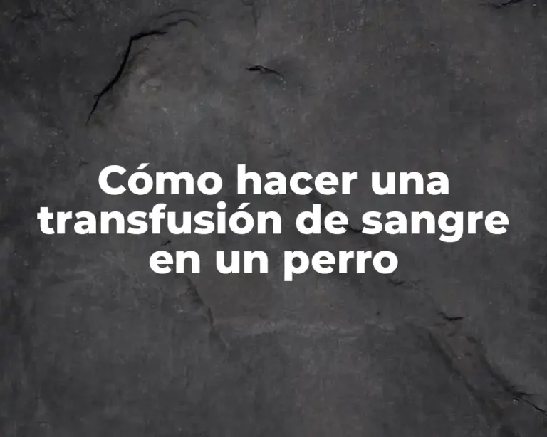 Cómo hacer una transfusión de sangre en un perro