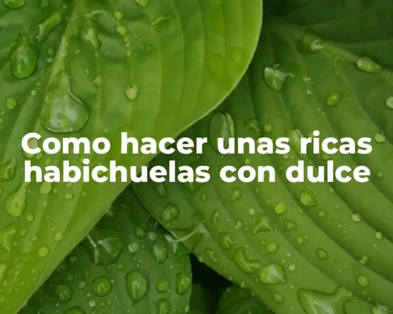 Como hacer unas ricas habichuelas con dulce
