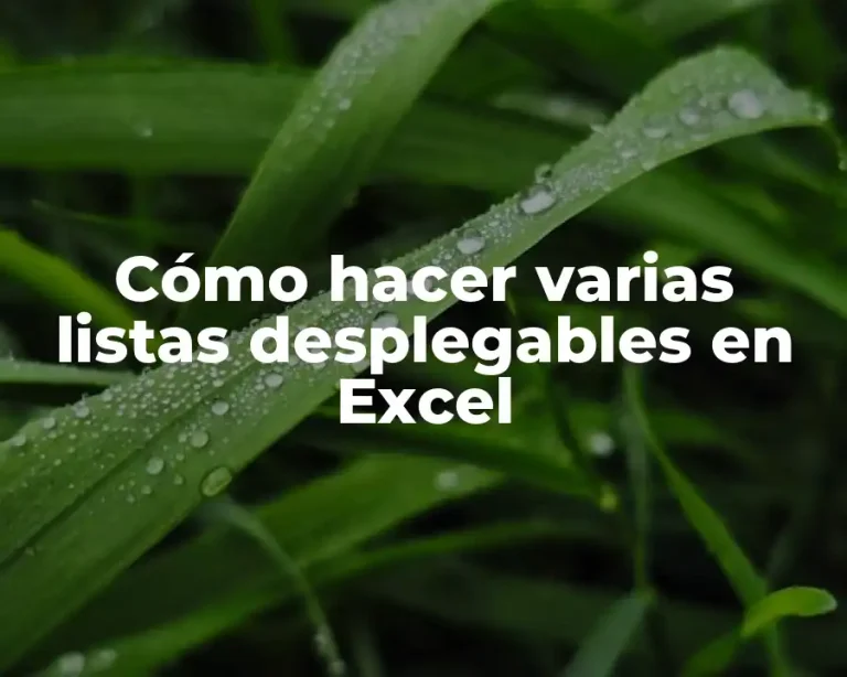 Cómo hacer varias listas desplegables en Excel