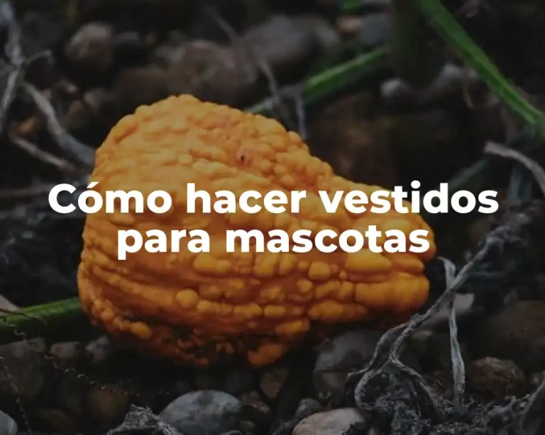 Cómo hacer vestidos para mascotas