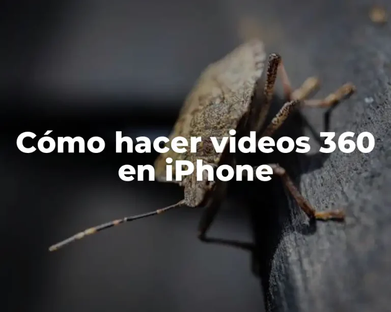 Cómo hacer videos 360 en iPhone