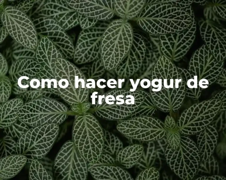 Como hacer yogur de fresa