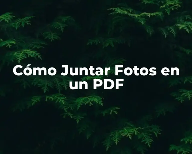 Cómo Juntar Fotos en un PDF