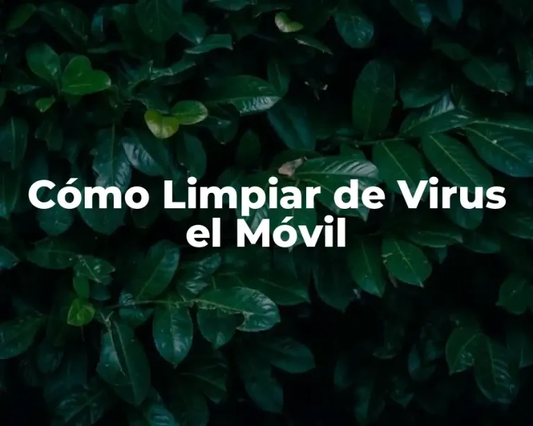 Cómo Limpiar de Virus el Móvil