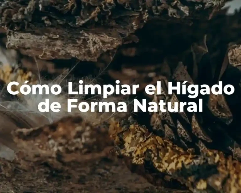 Cómo Limpiar el Hígado de Forma Natural