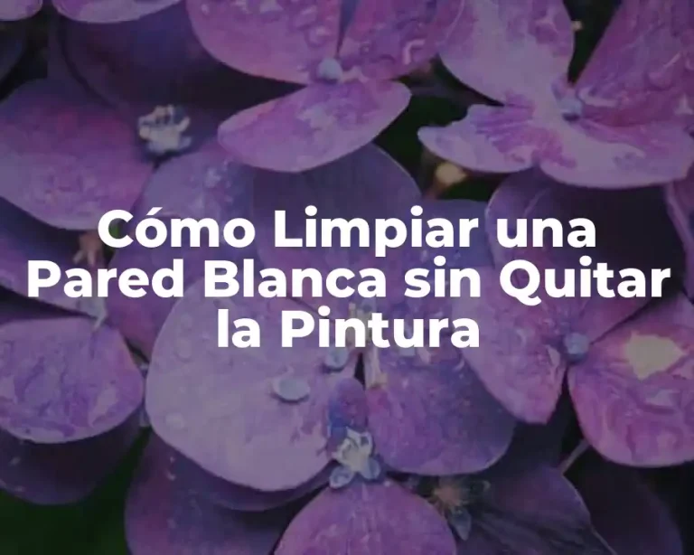 Cómo Limpiar una Pared Blanca sin Quitar la Pintura