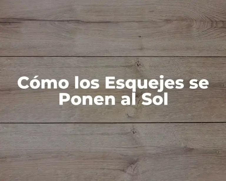 Cómo los Esquejes se Ponen al Sol