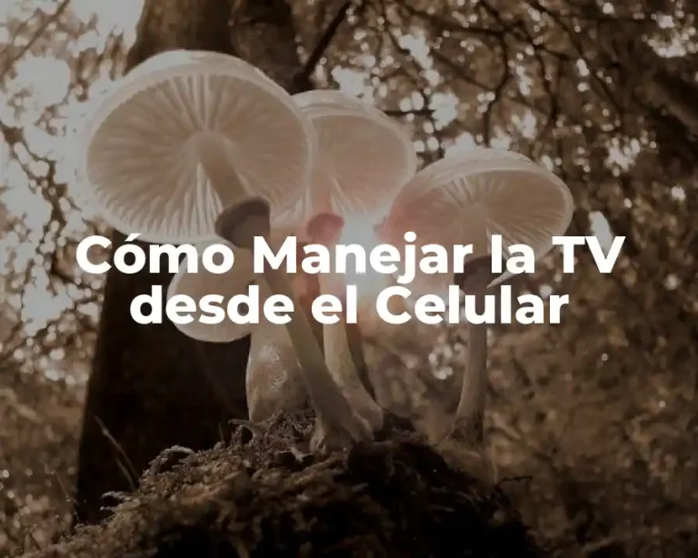 Cómo Manejar la TV desde el Celular