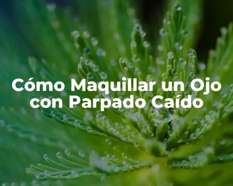 Cómo Maquillar un Ojo con Parpado Caído