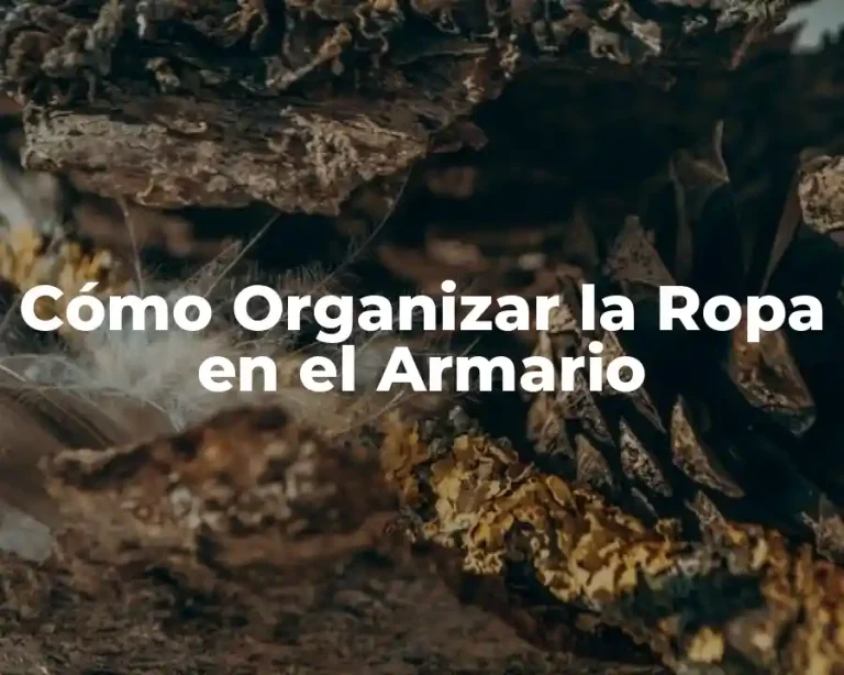 Cómo Organizar la Ropa en el Armario