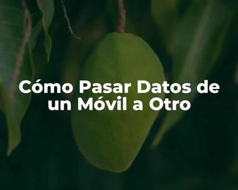 Cómo Pasar Datos de un Móvil a Otro