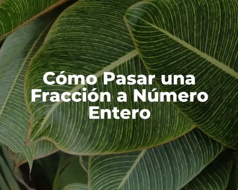 Cómo Pasar una Fracción a Número Entero