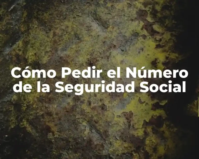 Cómo Pedir el Número de la Seguridad Social