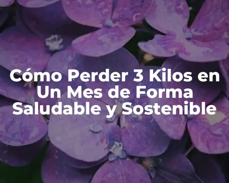 Cómo Perder 3 Kilos en Un Mes de Forma Saludable y Sostenible