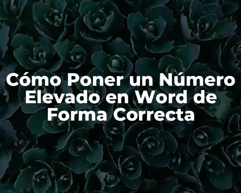 Cómo Poner un Número Elevado en Word de Forma Correcta