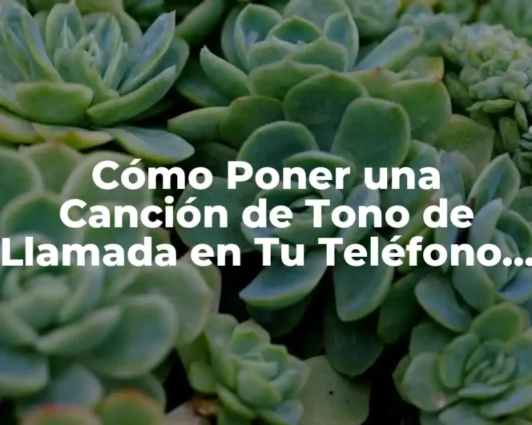 Cómo Poner una Canción de Tono de Llamada en Tu Teléfono Móvil