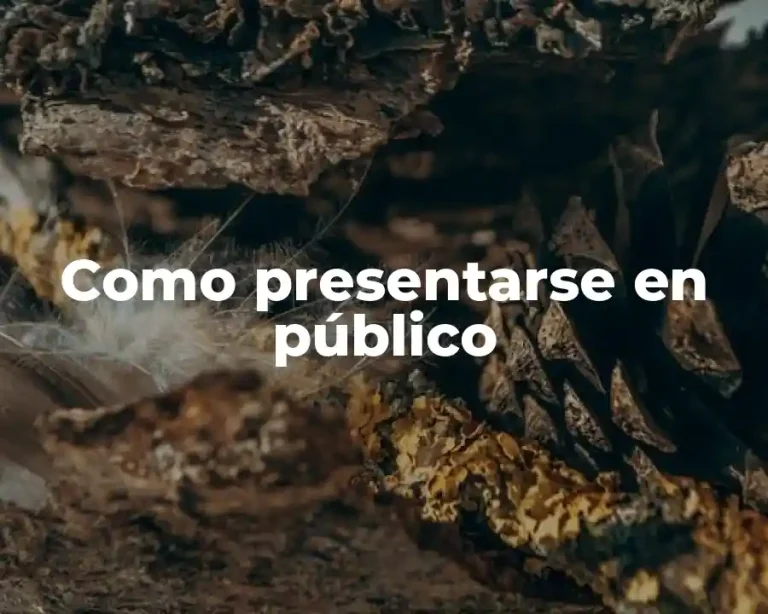 Como presentarse en público