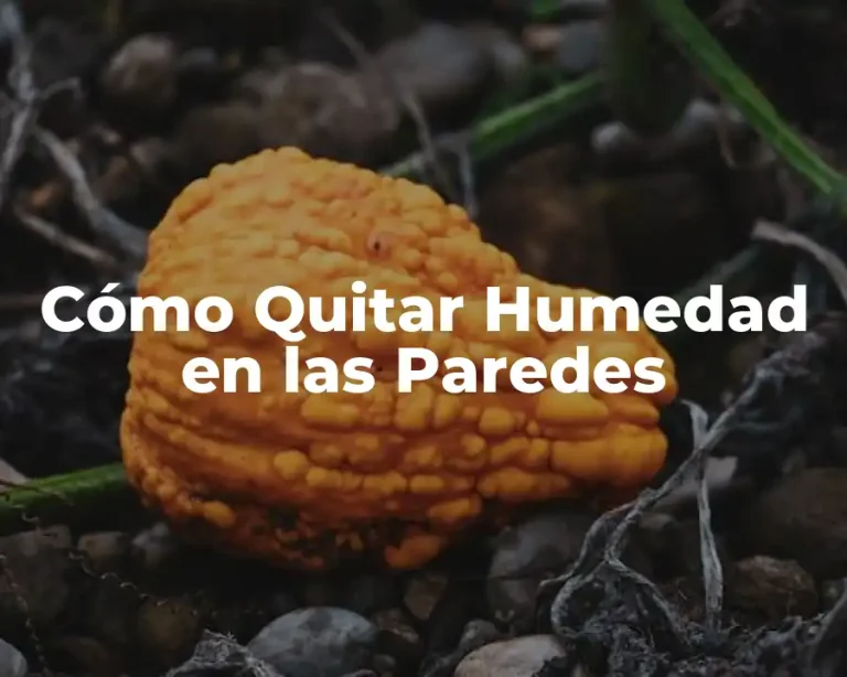 Cómo Quitar Humedad en las Paredes