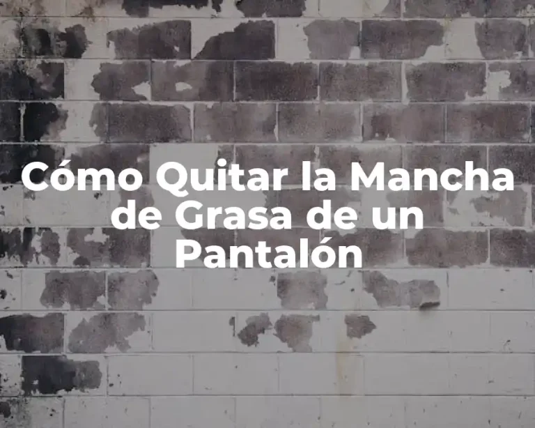 Cómo Quitar la Mancha de Grasa de un Pantalón