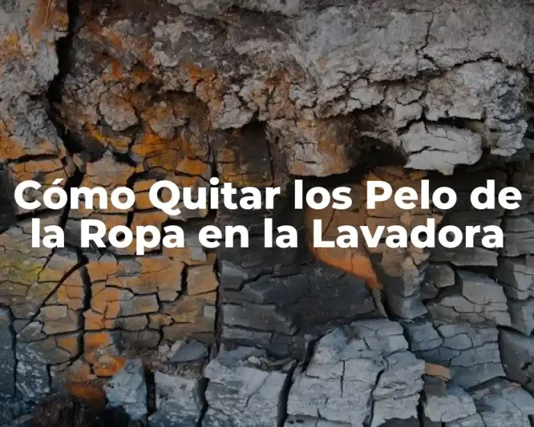 Cómo Quitar los Pelo de la Ropa en la Lavadora