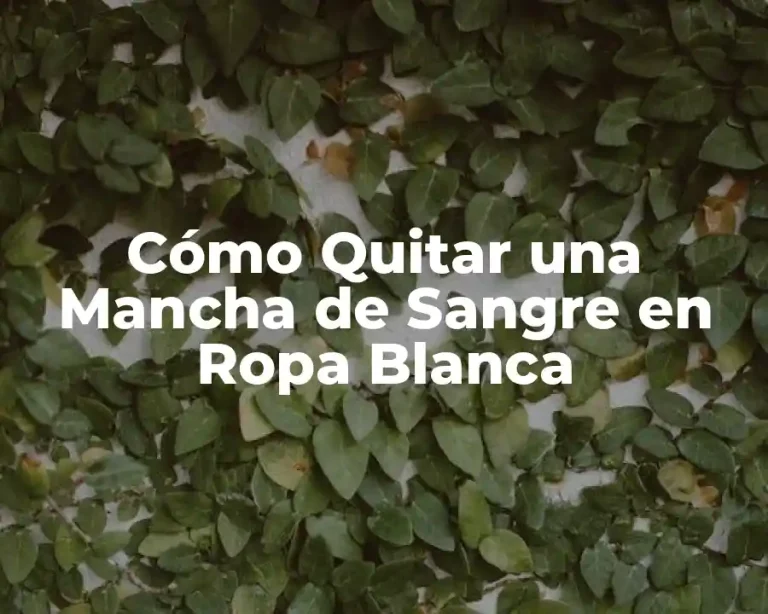 Cómo Quitar una Mancha de Sangre en Ropa Blanca