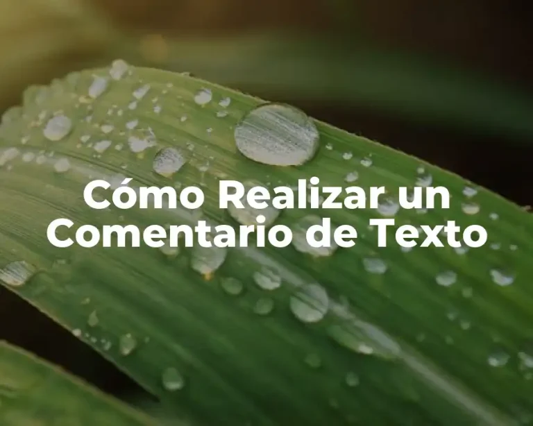 Cómo Realizar un Comentario de Texto