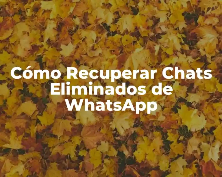 Cómo Recuperar Chats Eliminados de WhatsApp