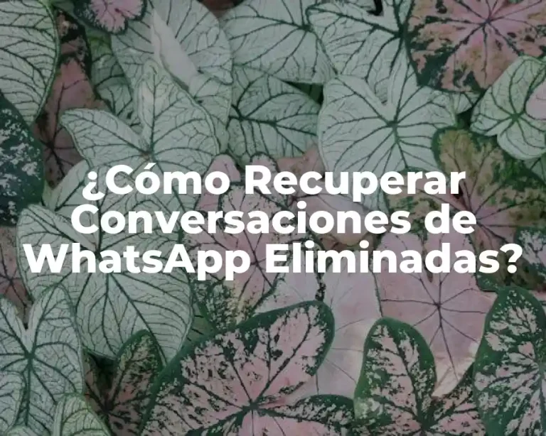 ¿Cómo Recuperar Conversaciones de WhatsApp Eliminadas?