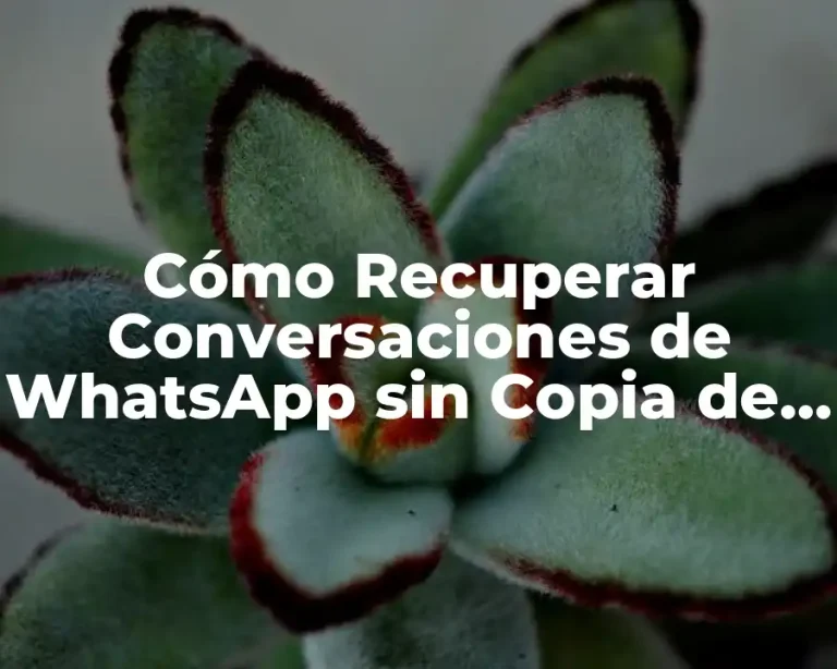 Cómo Recuperar Conversaciones de WhatsApp sin Copia de Seguridad