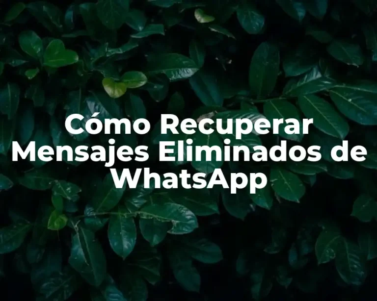 Cómo Recuperar Mensajes Eliminados de WhatsApp