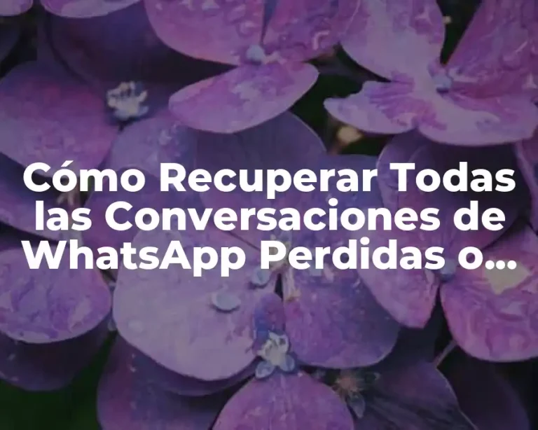 Cómo Recuperar Todas las Conversaciones de WhatsApp Perdidas o Eliminadas