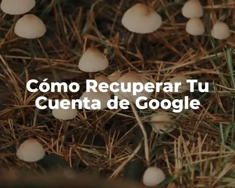 Cómo Recuperar Tu Cuenta de Google