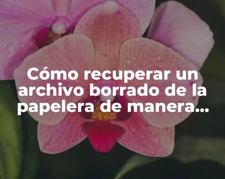 Cómo recuperar un archivo borrado de la papelera de manera segura y efectiva