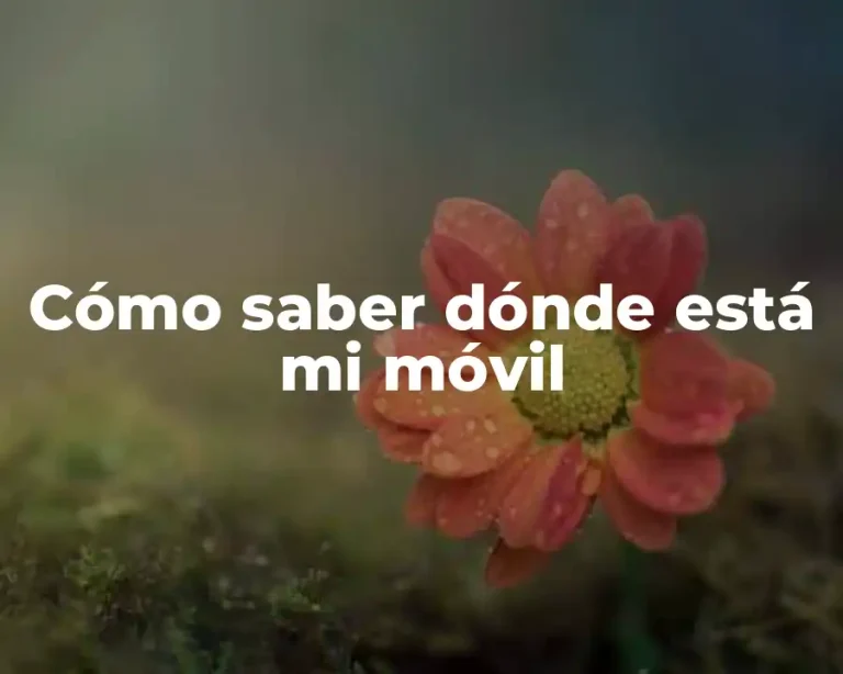 Cómo saber dónde está mi móvil