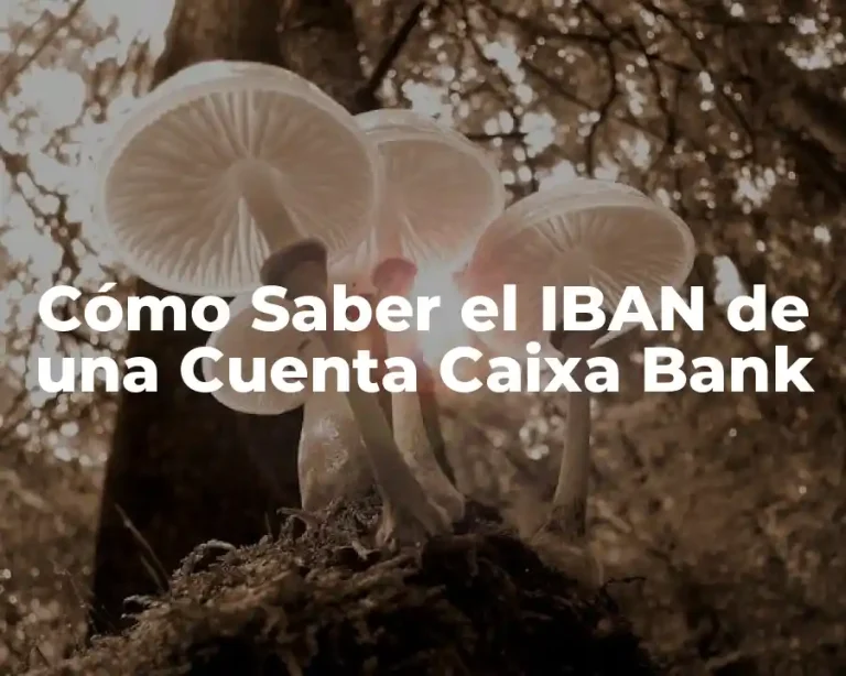 Cómo Saber el IBAN de una Cuenta Caixa Bank