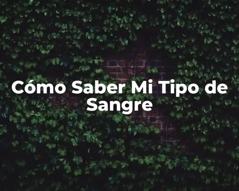 Cómo Saber Mi Tipo de Sangre