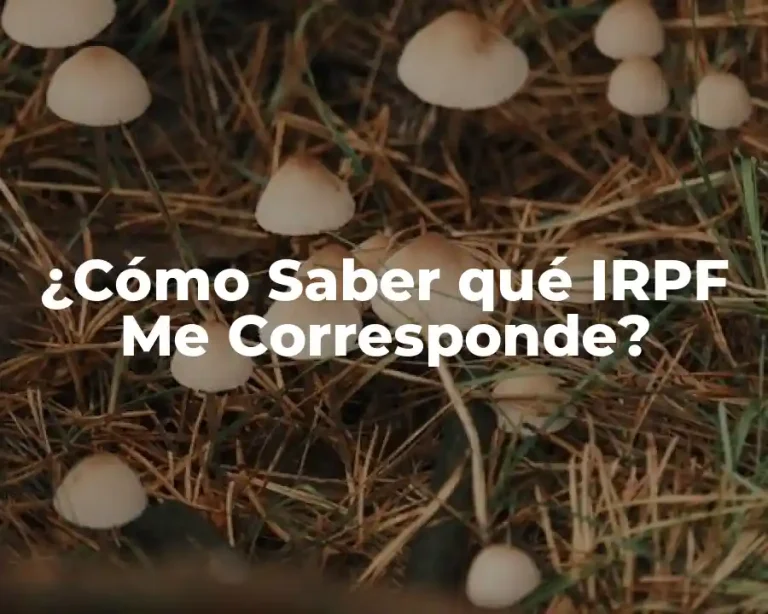 ¿Cómo Saber qué IRPF Me Corresponde?