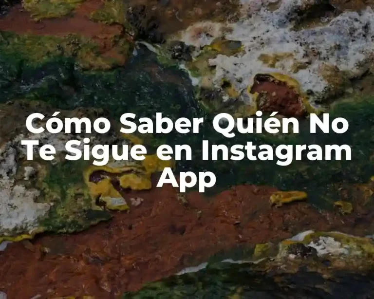 Cómo Saber Quién No Te Sigue en Instagram App